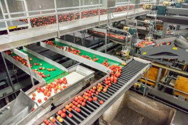 FDA Compliance: Selecting the Right Hose for Food Processing